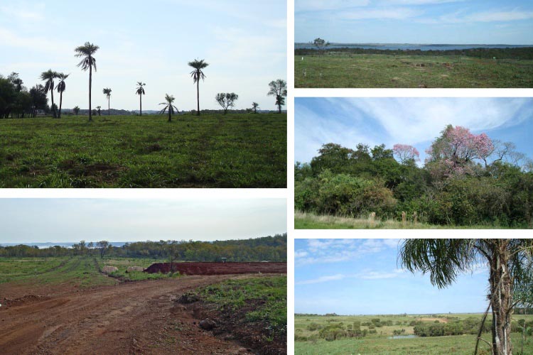 Club de Campo Aguavista, el paisajismo como concepto arquitectónico y medioambiental