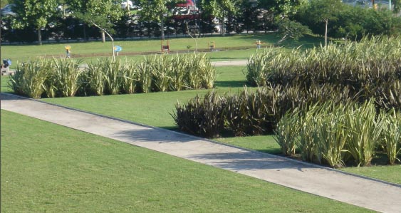 Parque Micaela Bastidas: un tesoro para la ciudad