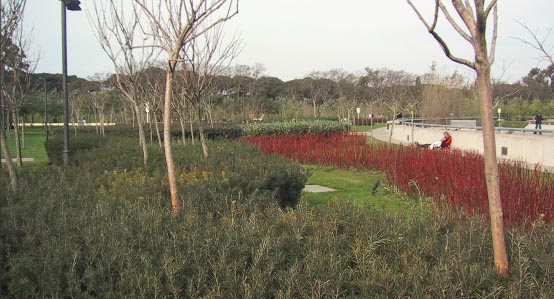 Parque Micaela Bastidas: un tesoro para la ciudad