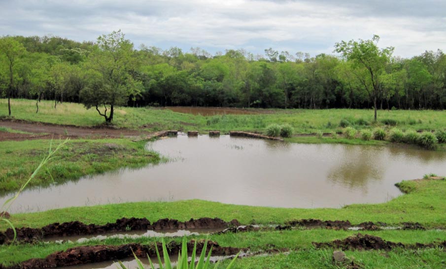 Club de Campo Aguavista