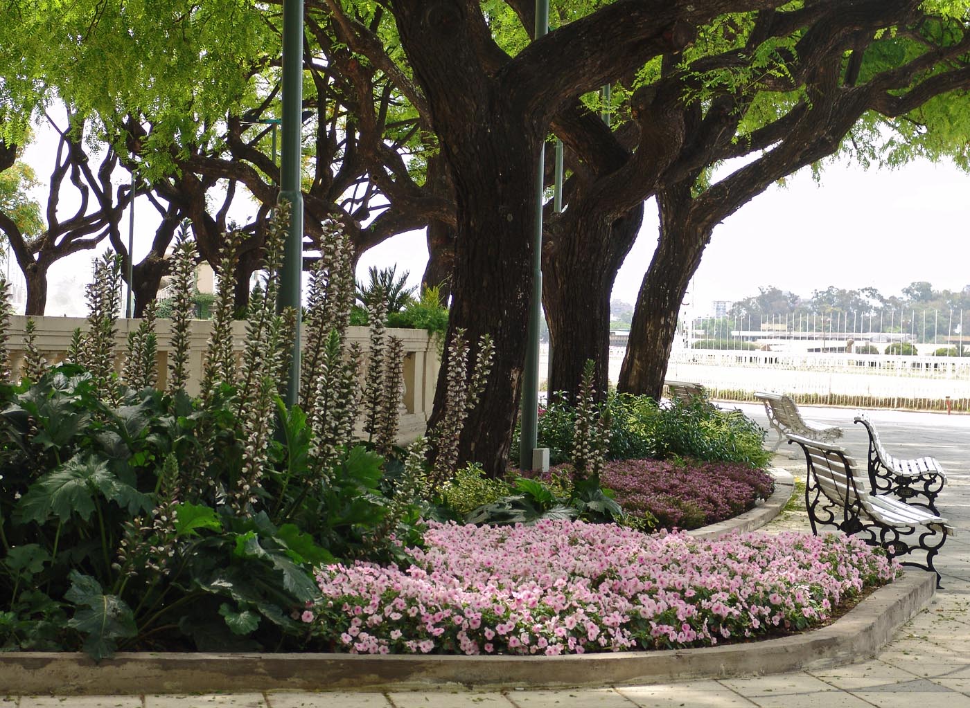 Hipódromo Argentino de Palermo