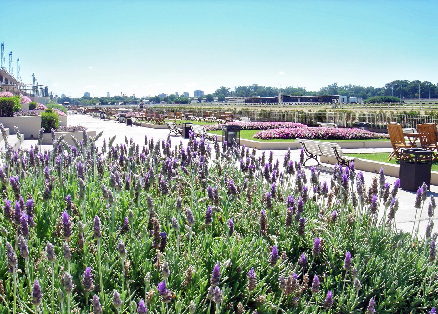 Hipódromo Argentino de Palermo