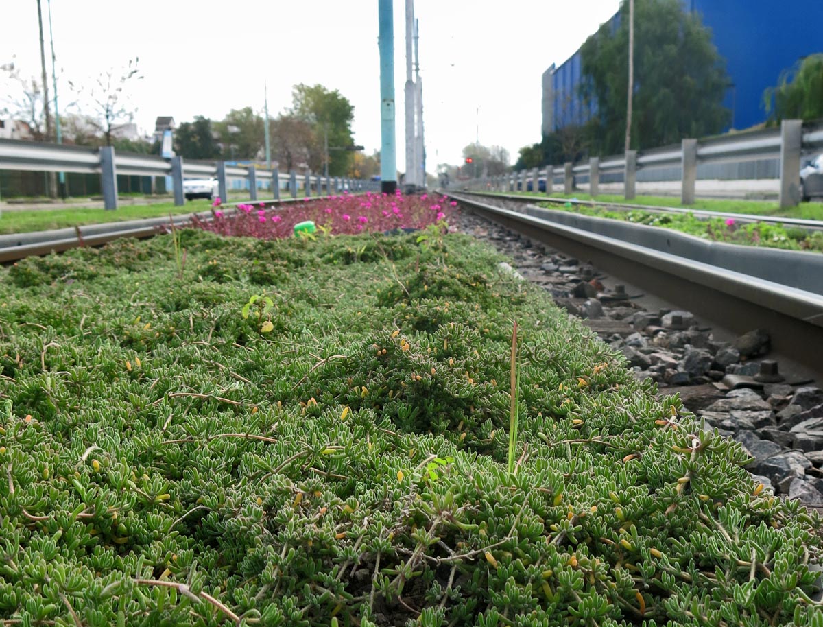 Premetro de Buenos Aires